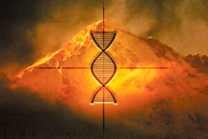 The Himalayan Codex