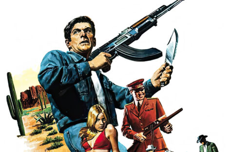 Steve Holland: Paperback Hero