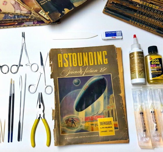 The author's pulp preservation toolkit includes brushes, toothpicks, surgical scissors, adhesives, erasers, and more.