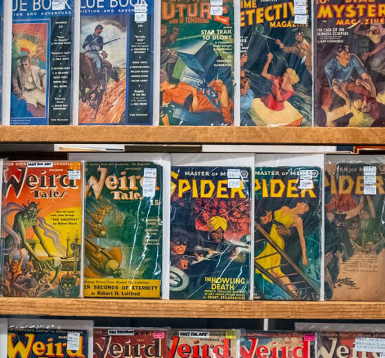 A rack of pulps for sale at PulpFest 2024